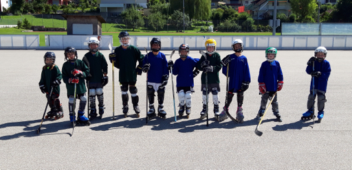 Inlinehockey